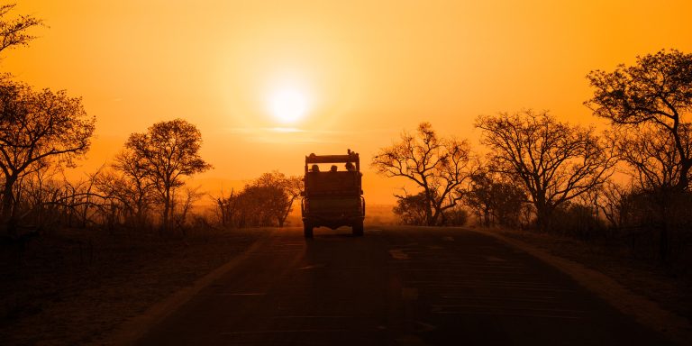 Safari Game Drive