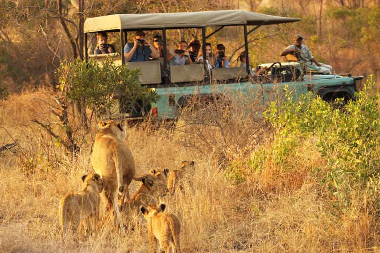 Lukimbi Safari Lodge - Kruger