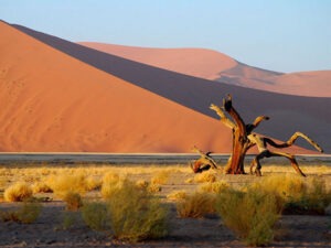 Namibia