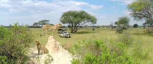 The Hide - Hwange - Zimbabwe