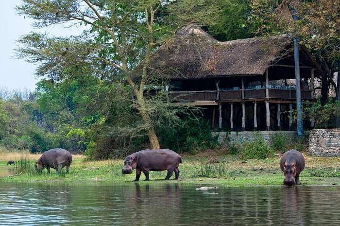 Mvuu Lodge - Malawi